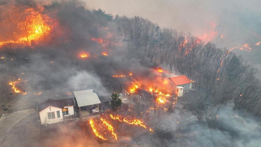 wildfire south korea