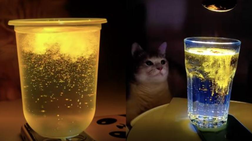 অনলাইন ট্রেন্ড