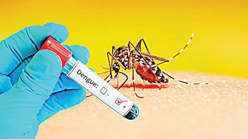 dengue_positive.jpg