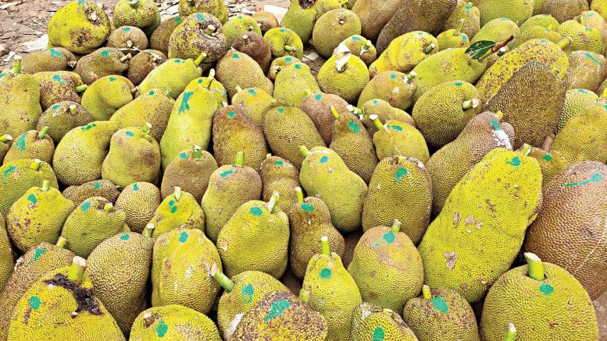 jackfruit.jpg