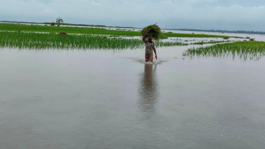 lalmoniurhat_flood-01.jpg