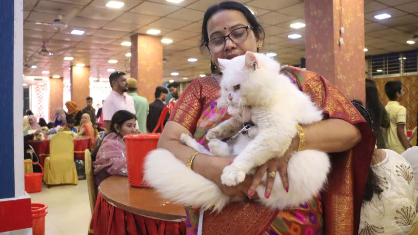 cat_show6_barishal_22oct25.jpg