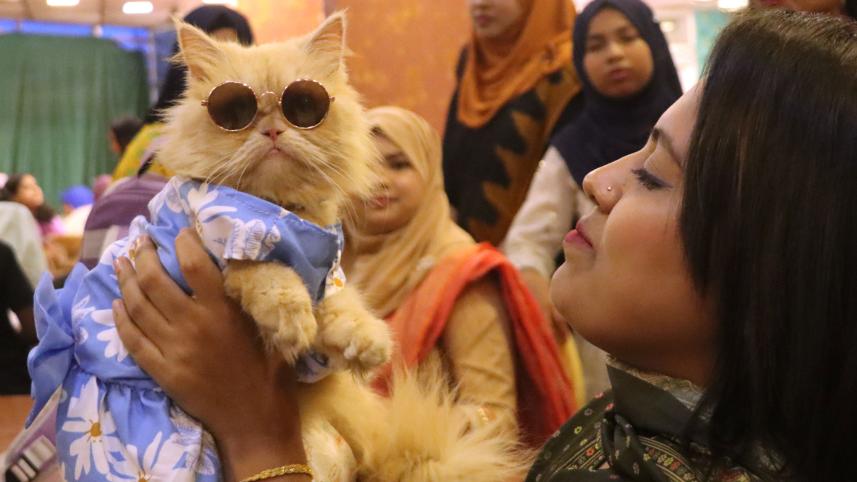 cat_show7_barishal_22oct25.jpg