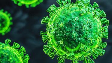 করোনাভাইরাস 