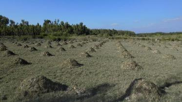 where_are_the_benefits