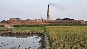 brahmanbaria_illegal_brick_kiln_photo_01.jpg